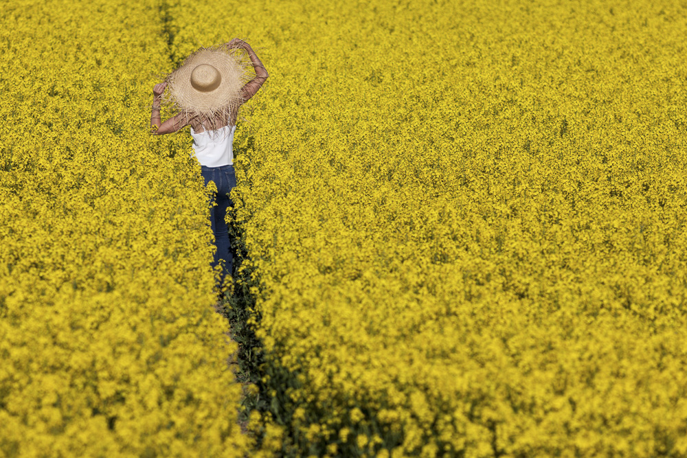 Monatsbilder April 2020